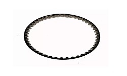 CORREIA DENTADA